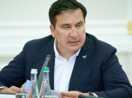 Массовая ликвидация и иски онлайн: Саакашвили предложил реформировать судебную систему