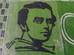 На Херсонщине вырастили на рисовом поле портрет Шевченко