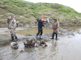 На Ямале найден скелет взрослого мамонта