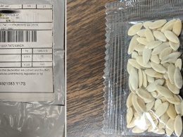 Подозрительные пакеты с семенами из Китая получают американцы. Они их не заказывали