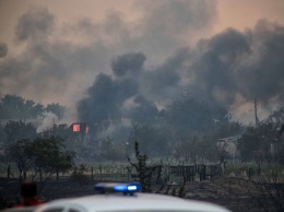 Пожары в Луганской области нанесли ущерба на 4-5 млр грн - Гослесагентство