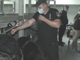 На киевском вокзале полиция тренировала собак искать взрывчатку