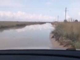 На Бирючий только вплавь - как сегодня выглядит дорога на остров (видео)