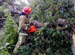 Появились фото и видео последствий урагана с градом в Хмельницкой области