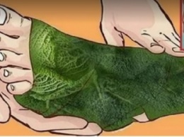 Боль в суставах победит капустный лист: бабушкин рецепт