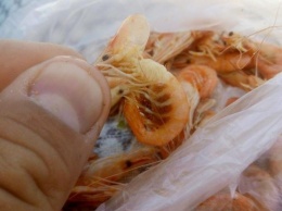 Где покупать креветки, чтобы не отравиться: тайны пляжных продавцов