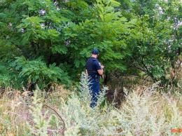 В зарослях недалеко от Мануйловского проспекта в Днепре нашли скелетированный труп человека