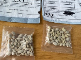 Сотни людей в США и еще ряде стран получили посылки со странными семенами (ФОТО)