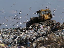 Под Киевом блокировали мусорный полигон