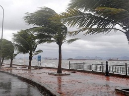 Тропический шторм "Исаиас" достиг побережья США