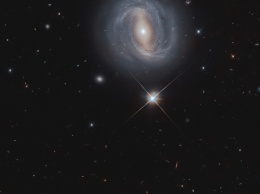 Фото дня: спиральная галактика с перемычкой анфас