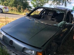 В Житомирской области перевернулось авто: двое взрослых и четверо детей получили травмы