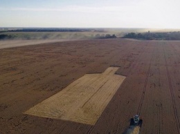 Под Киевом пять комбайнов выкосили в пшенице гигантскую бутылку длиной в два футбольных поля