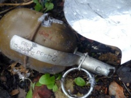 «Выбросишь мусор - взорвешься»: на Днепропетровщине в баке нашли гранату