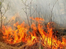 Будьте осторожны: в Никополе сохраняется наивысший уровень пожароопасности