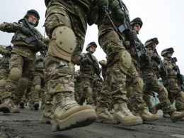 Украинские военные начали подготовку в рамках миссии Orbital