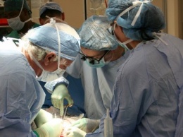 Кабмин утвердил порядок перевозки донорских органов для их трансплантации в Украине