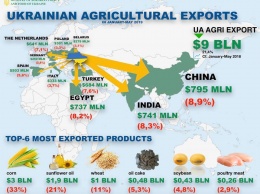 Экспорт из Украины снижается - особенно упали поставки мяса