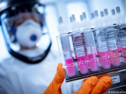 Новые данные о тестах на коронавирус: что нужно знать