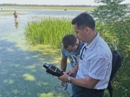 За счет средств областного бюджета начинается расчистка залива реки Днепр на ж/м Красный Камень