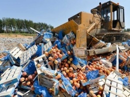 За пять лет в России уничтожили 36 тысяч тонн санкционных продуктов