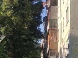 Харьковские медики спасли мужчину в наркотическом опьянении, пытавшегося прыгнуть с балкона, - ВИДЕО