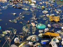 "Больше, чем мы могли себе представить": глава Госэкоинспекции рассказал о количестве мусора у Карпатских рек (фото)
