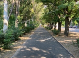 Не дорога, а ковер - что еще говорят о новом тротуаре жители Мелитополя (видео, фото)
