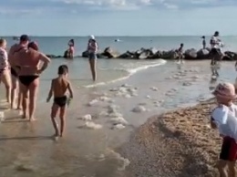Курортники в Кирилловке устраивают фотосессии с медузами и строят из них замки (видео)