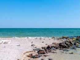 Очевидцы рассказывают о "гиблом месте" на пляже под Одессой