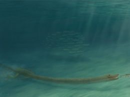 Палеонтологи раскрыли секрет рептилии Tanystropheus