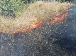 За прошедшие сутки в Кривом Роге произошло 5 пожаров в эко-системе, - ФОТО