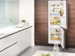 Как выбрать экономичный холодильник: критерии выбора, как определиться с моделью
