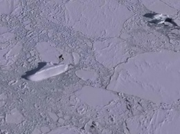В Антарктике нашли "секретный корабль нацистов"