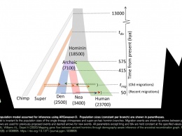 Антропологи установили существование нового вида гоминидов, повлиявших на нас