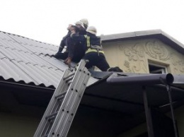 Залезла и не смогла спуститься: в Каменском спасли ребенка, который застрял на крыше дома