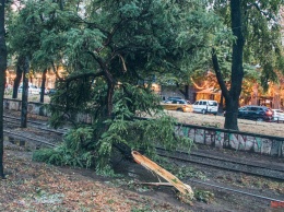 В Днепре из-за ветра на проспекте Яворницкого оборвались провода: трамваи стоят