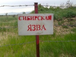 В Одесской области могут ввести карантин из-за сибирской язвы