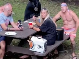 Медведь пришел к людям на пикник
