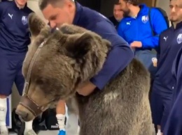 В раздевалку российского футбольного клуба привели медведя (видео)