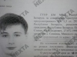 Основателю беларусского Telegram-канала Nexta грозит 15 лет тюрьмы за организацию беспорядков