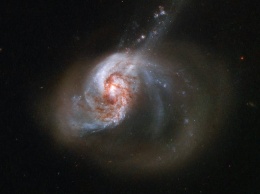 Красотища! Телескоп сфотографировал галактику NGC 1614