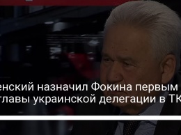Зеленский назначил Фокина первым замглавы украинской делегации в ТКГ