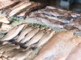 Товарищ угостил рыбой: в Харькове зафиксировали еще один случай ботулизма
