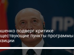 Лукашенко подверг критике несуществующие пункты программы оппозиции