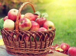 Яблочный Спас: традиции и запреты праздника