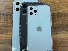 Новые фотографии iPhone 12 в разных чехлах