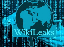 WikiLeaks заподозрили в работе на российскую разведку