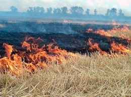 Пожары вернулись на Мелитопольщину