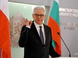 Разговор с белорусским оппозиционером стоил должности главе МИД Польши